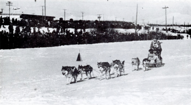 Photo of Yukon Sourdough Rendezvous sled dog races, 1970s