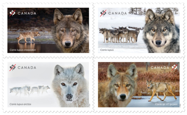 Wolves of Canada postage stamps - August 13, 2026
