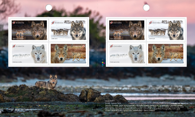 Wolves of Canada postage stamps - booklet of four stamps - August 13, 2026