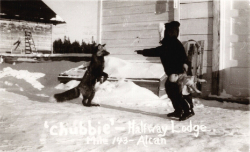 Halfway Lodge, Alaska Highway