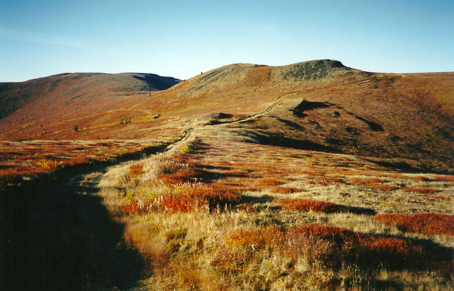 Off the Top of the World Highway, Yukon