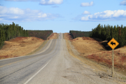 Alaska Highway Km 241