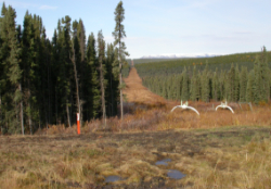 A natural gas pipeline along the Alaska Highway, October 2002
