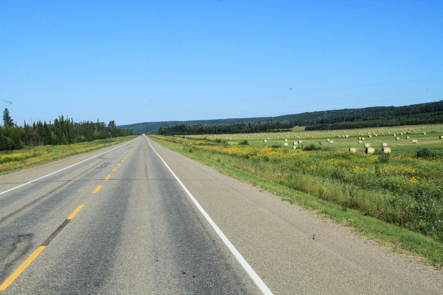 Hay field along the Alaska Highway at Fort Nelson, BC