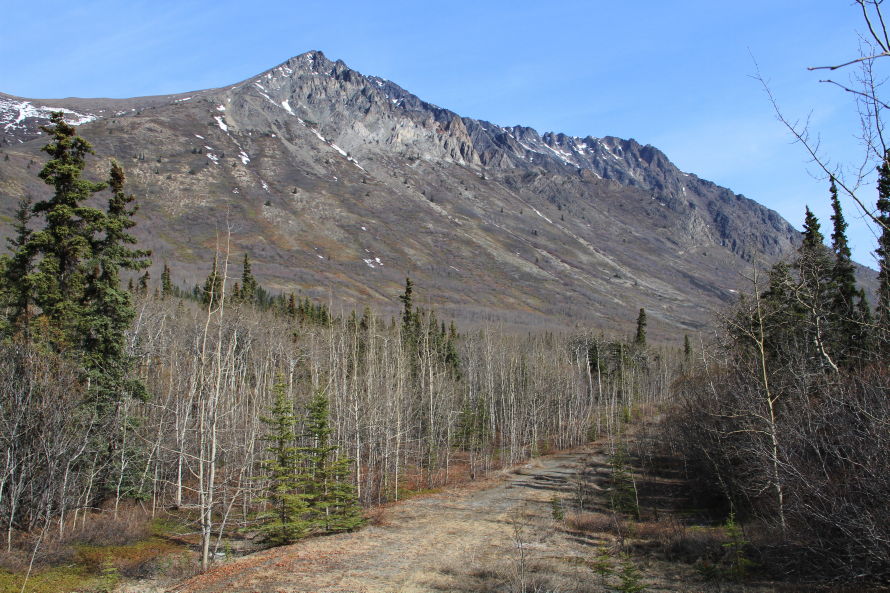 Caribou Mountain as seen from the Tagish Road, Yukon