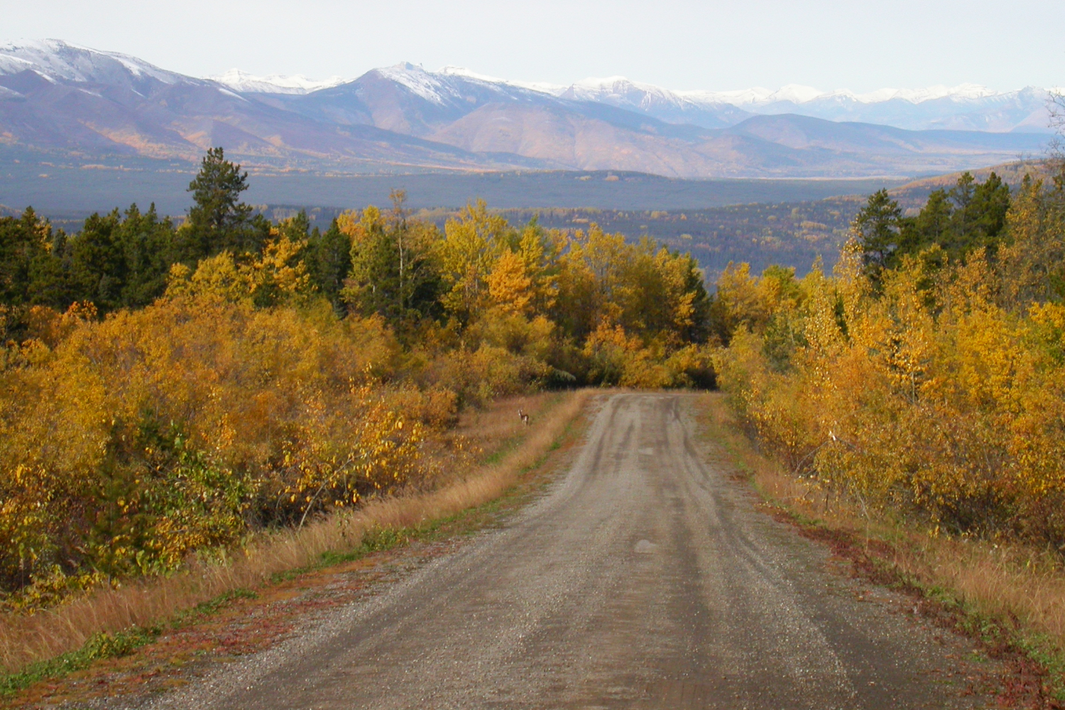 Trutch Mountain, BC