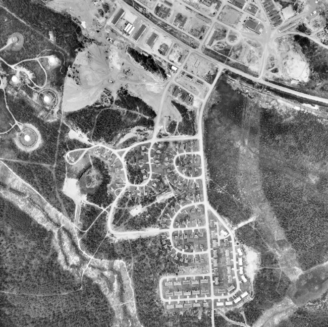Aerial photo of Hillcrest Area, 1950