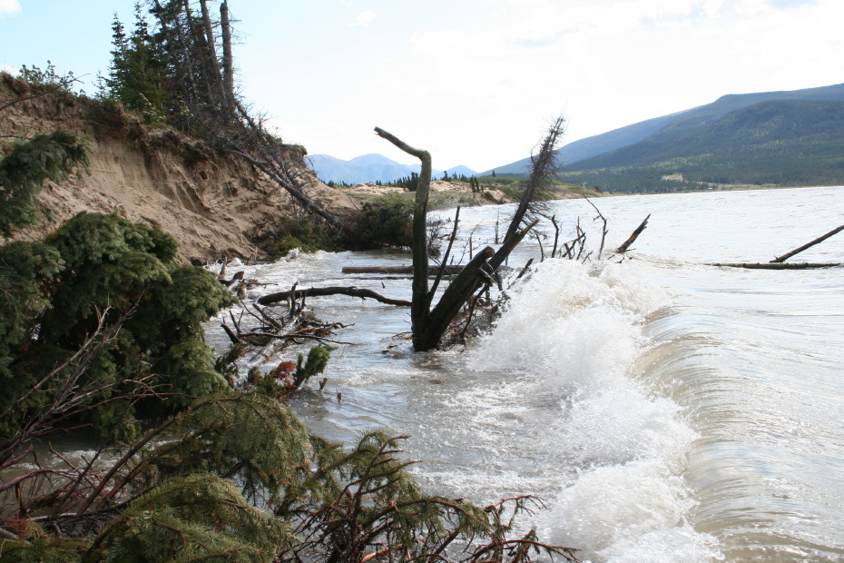 Erosion along the shore of Lake Bennett, Yukon