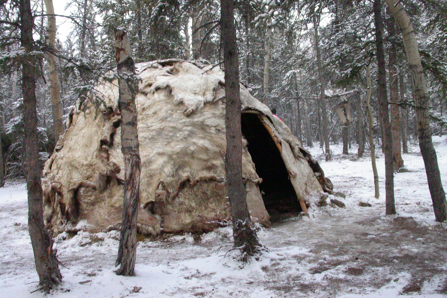 A willow hut at Kwaday Dan Kenji - Champagne, Yukon.