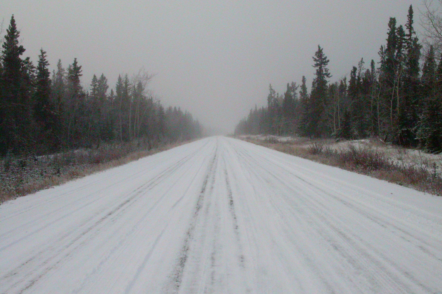he old Alaska Highway just south of Champagne, Yukon, in November.