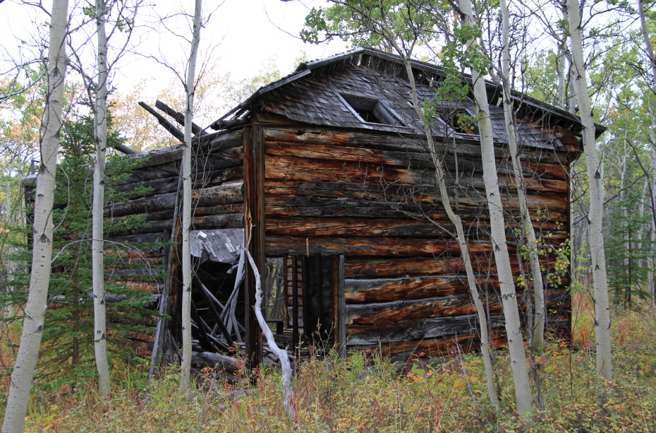 Historic fox farm on Lake Bennett, Yukon