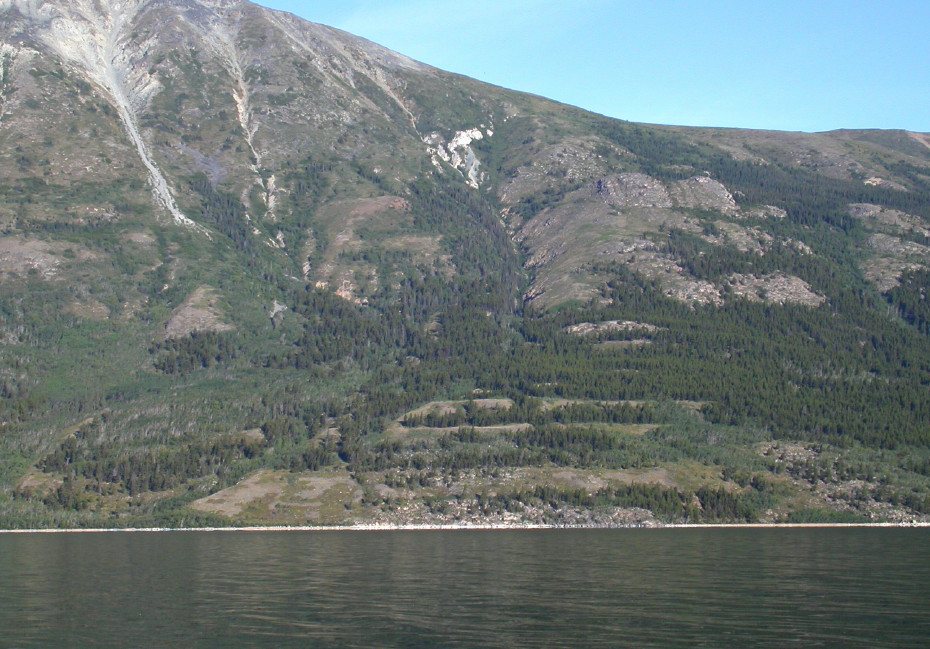 Beach terraces along Lake Bennett, Yukon