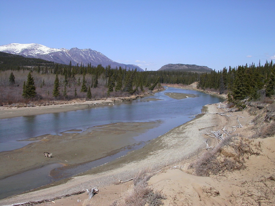 The Watson River flows into Lake Bennett, Yukon