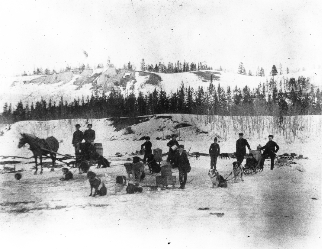 Adults and children getting water from the Yukon River with barrels on five sleds pulled by dogs and a horse - Whitehorse, Yukon Territory, 1900