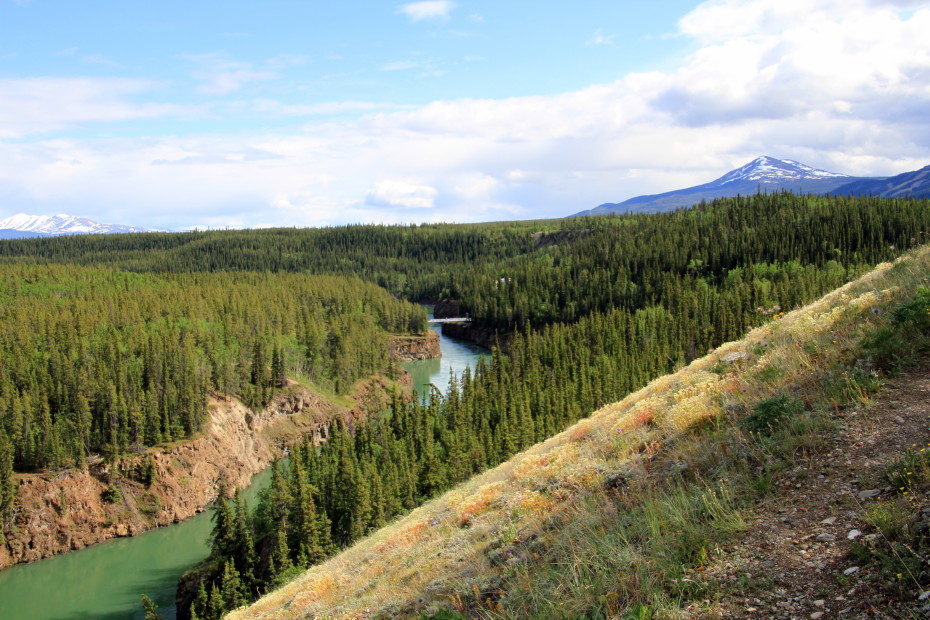 Miles Canyon - Whitehorse, Yukon