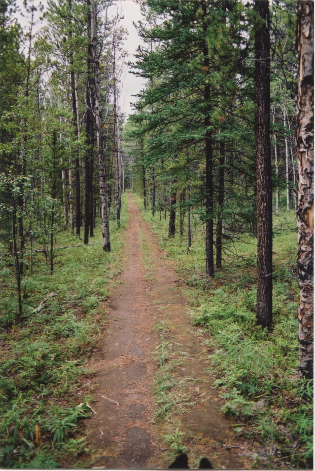 Miles Canyon - Whitehorse, Yukon